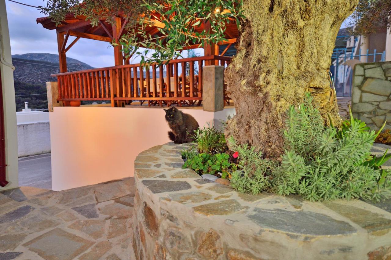 Вилла Plokamos House Plokamiana Экстерьер фото