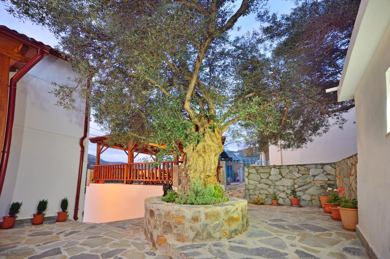 Вилла Plokamos House Plokamiana Экстерьер фото